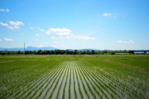 見晴らしのいい田園地帯