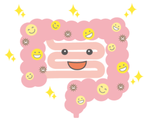 幸せな腸のイラスト